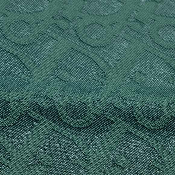 "Dior Stripes & Statements: Bold Tee Choices" - Picture 8 of 8